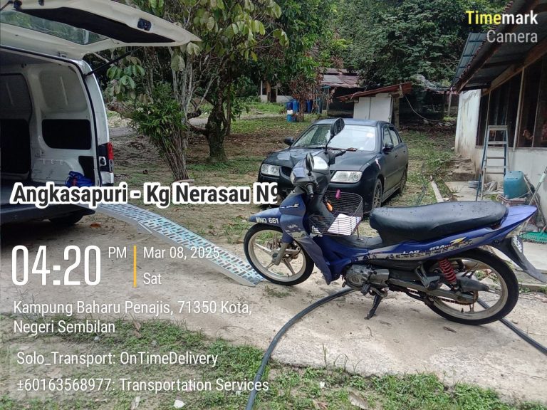 photo_38_2025-05-11_14-01-39